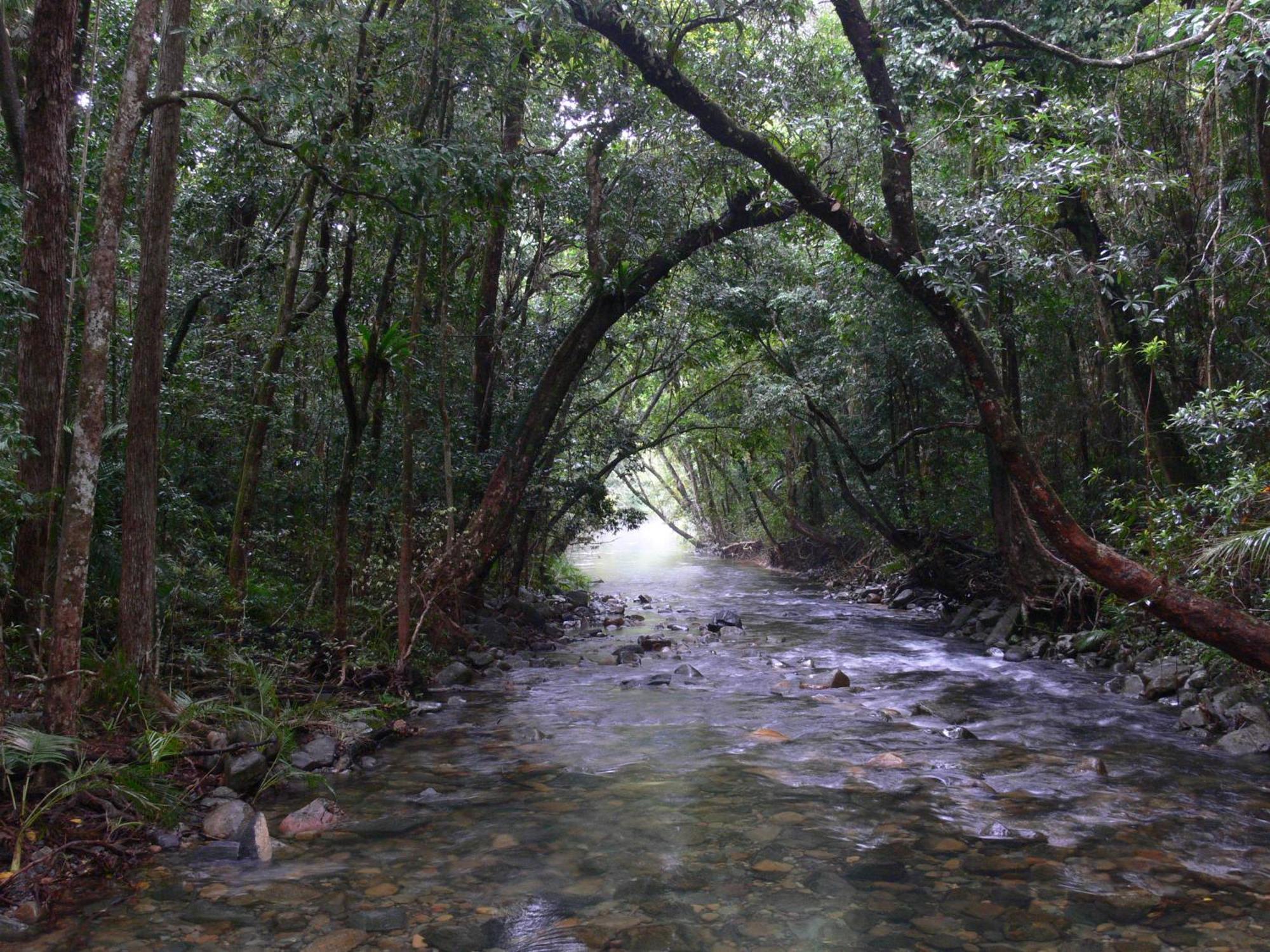 Heritage Lodge - In The เดนทรี ภายนอก รูปภาพ